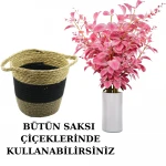 ÇİFT KULPLU HASIR SEPET 3 RENK TASARIM