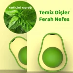 YAPIŞKANLI AVOKADO ŞEKİLLİ KEDİ NANESİ